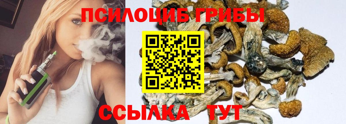 Люберцы  Галлюциногенные грибы ЛСД  Псилоцибиновые грибы прущие грибы  Вход с VPN 