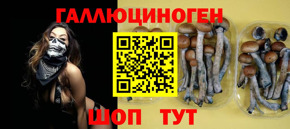 Галлюциногенные грибы мицелий Люберцы